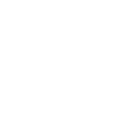 Full Cleaning Services